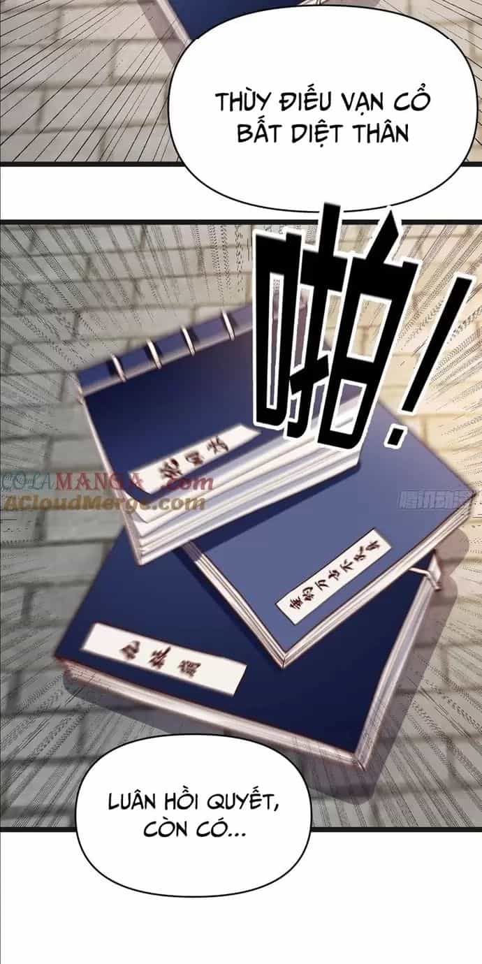 Đệ Tử Siêu Thần Ta Nằm Không, Tông Môn Hủy Diệt Ta Vô Địch - Chương 24 - ảnh 30