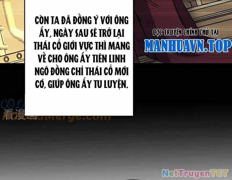 Đệ Tử Tu Luyện Còn Ta Thì Lười Biếng - Chương 154 - ảnh 44