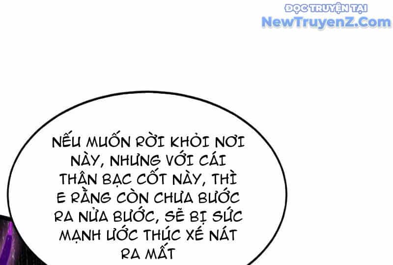Đệ Tử Tu Luyện Còn Ta Thì Lười Biếng - Chương 175 - ảnh 42