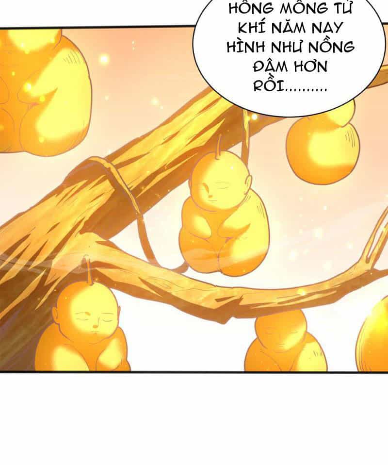 Đệ Tử Tu Luyện Còn Ta Thì Lười Biếng - Chương 39 - ảnh 4