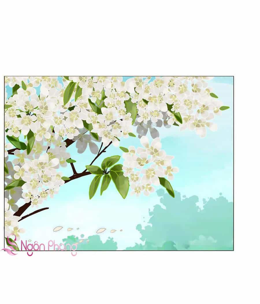 Đế Vương Trắc - Chương 255.5 - ảnh 2
