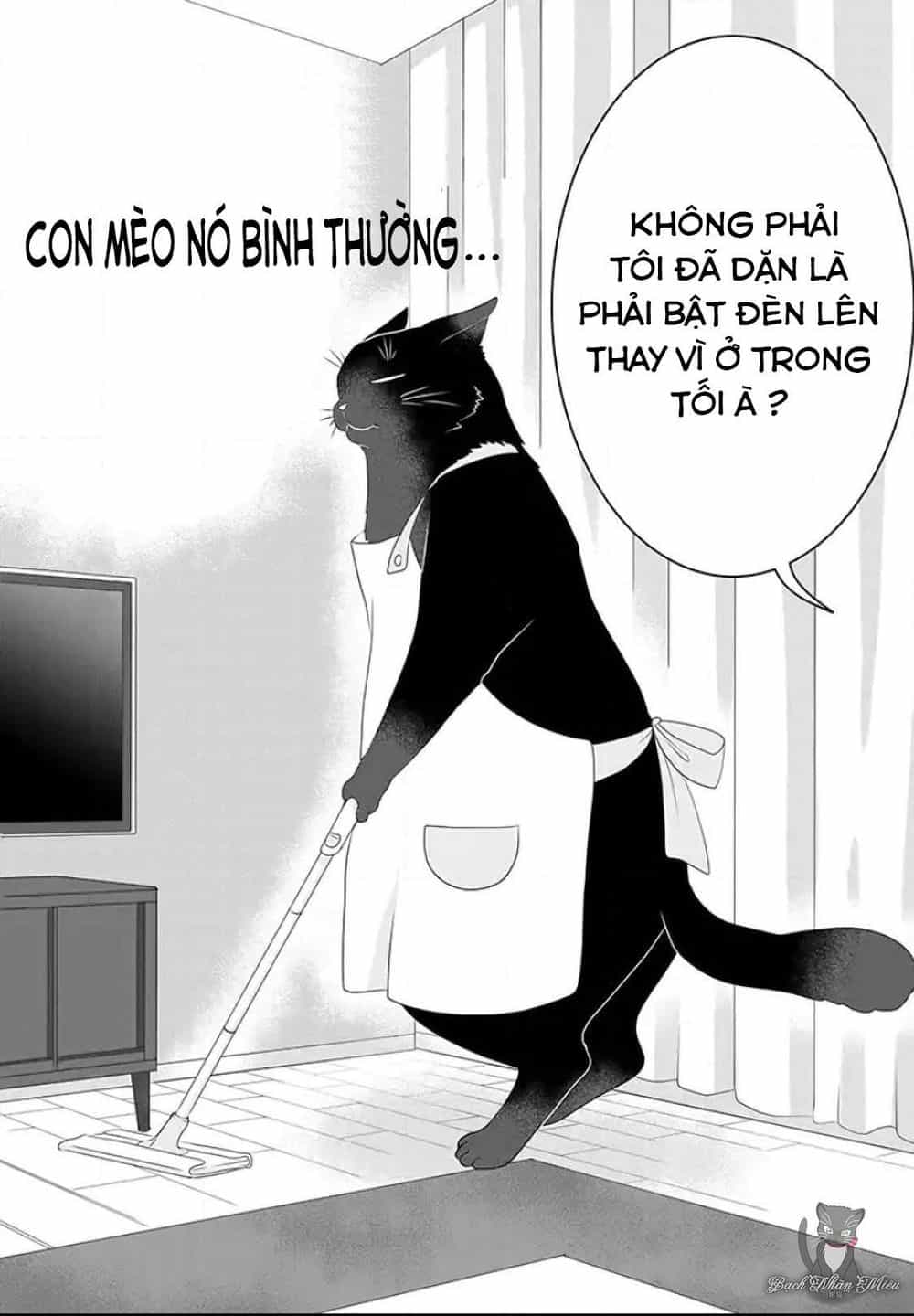 Dekiru Neko Wa Kyo Mo Yuuutsu - Chương 1 - ảnh 8