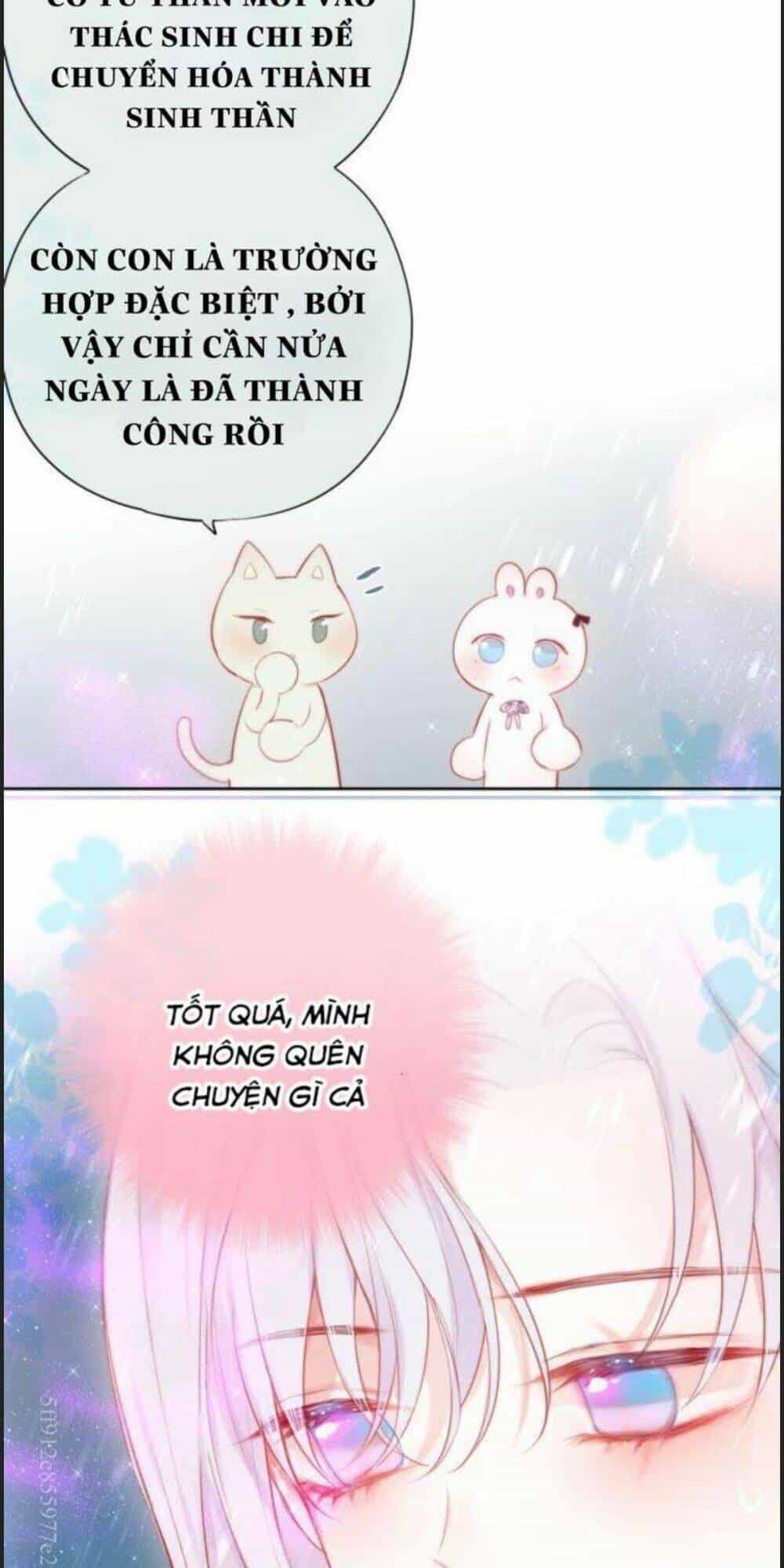 Đêm Ngày Không Dứt - Chương 92 - ảnh 17