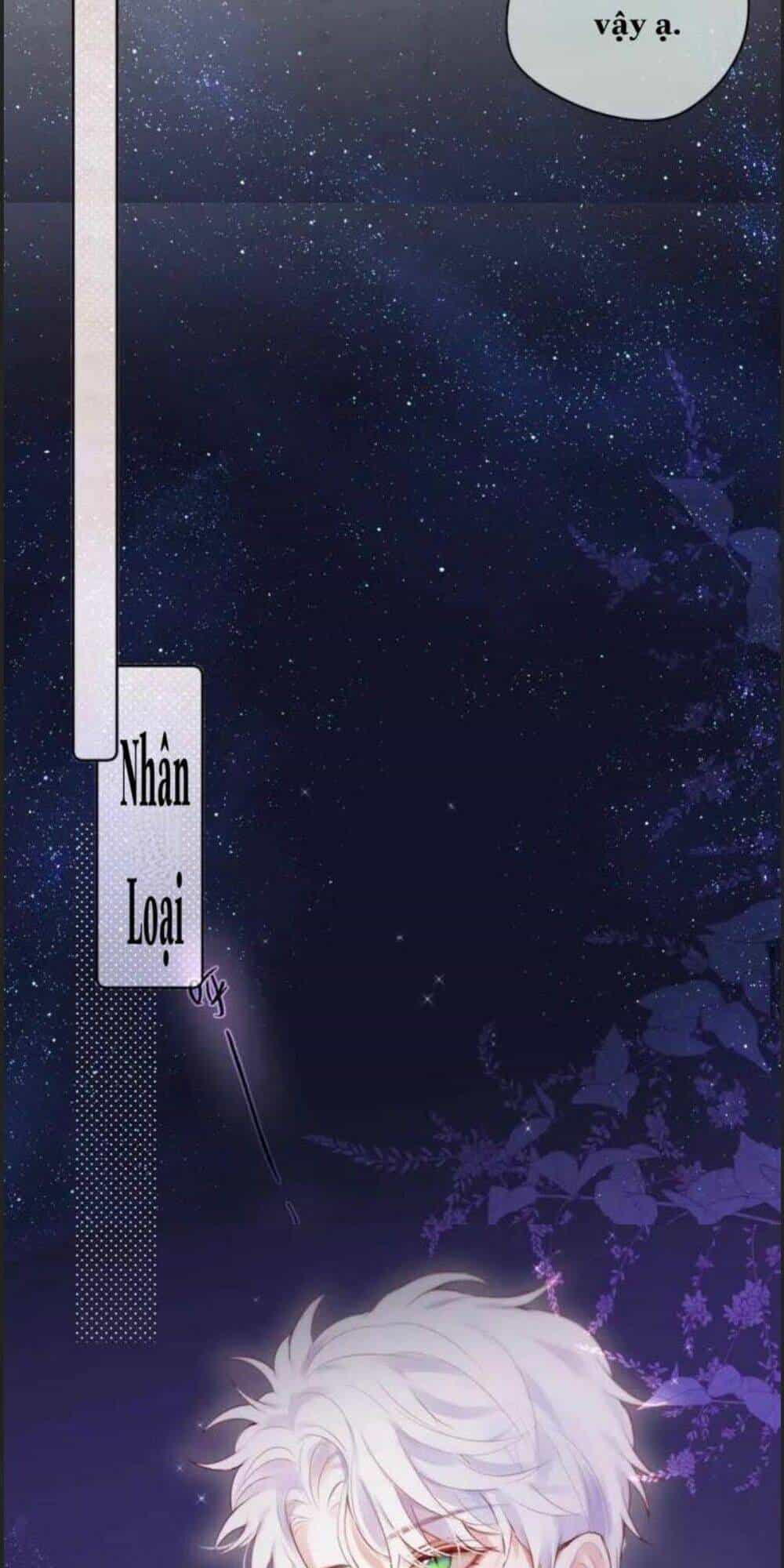 Đêm Ngày Không Dứt - Chương 94 - ảnh 12