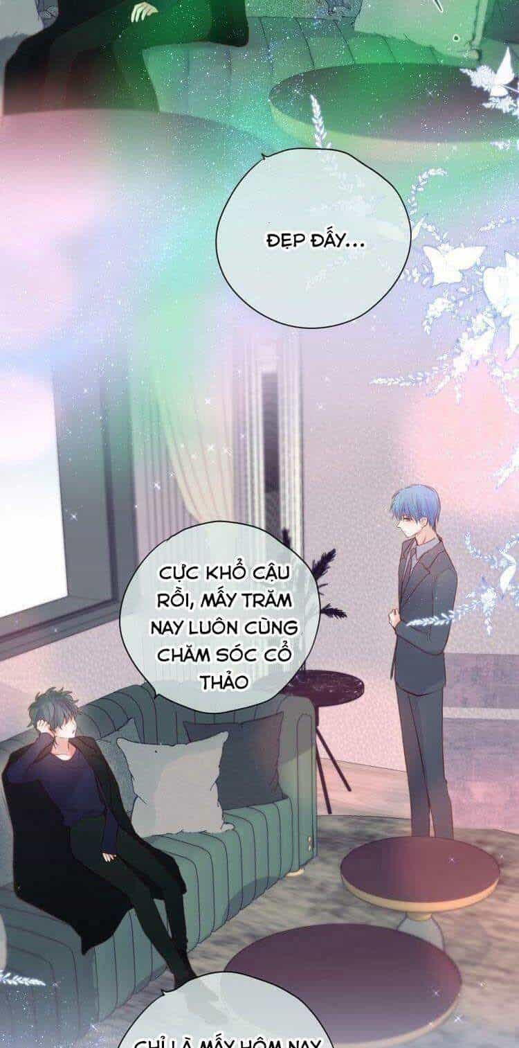 Đêm Ngày Không Dứt - Chương 98 - ảnh 8