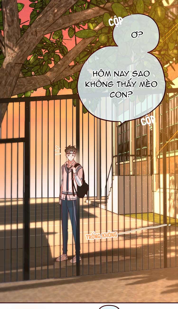 Đêm Ngày Không Dứt - Chương 9 - ảnh 13