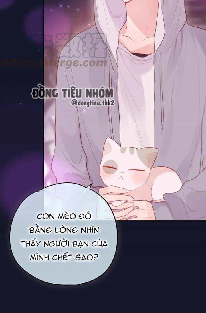 Đêm Ngày Không Dứt - Chương 75 - ảnh 17