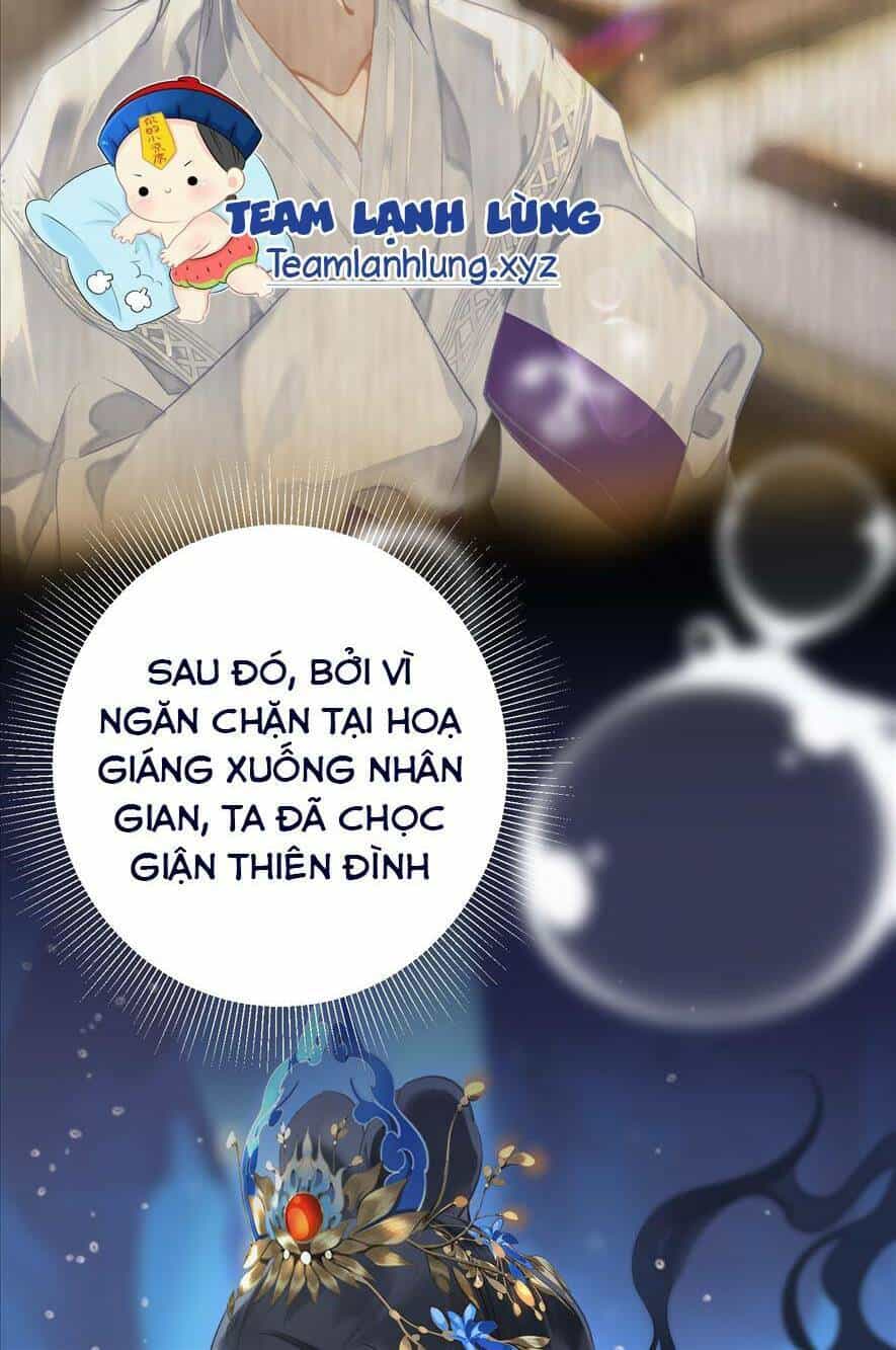 Đến Đông Hải Tìm Mỹ Nhân - Chương 1 - ảnh 10