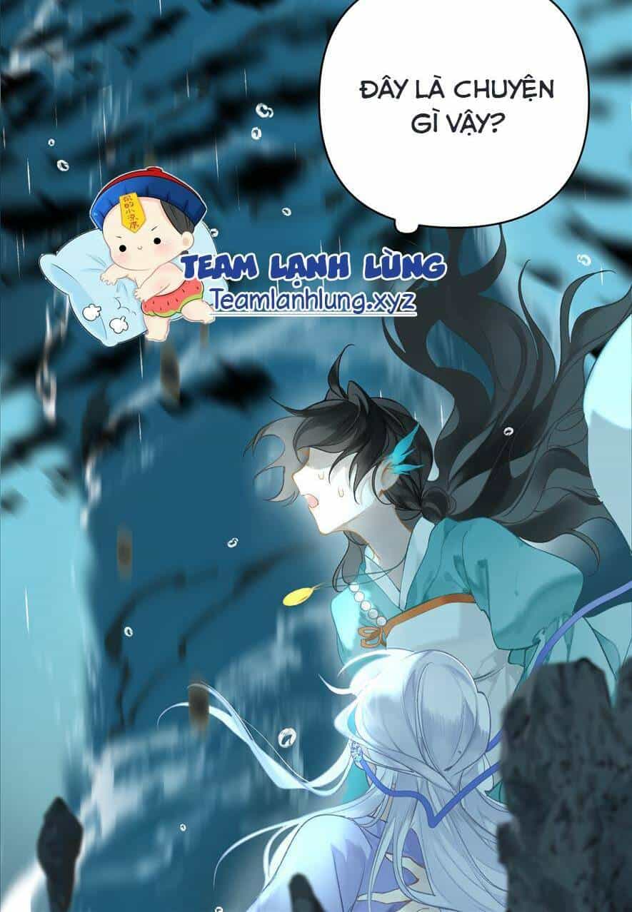 Đến Đông Hải Tìm Mỹ Nhân - Chương 1 - ảnh 33