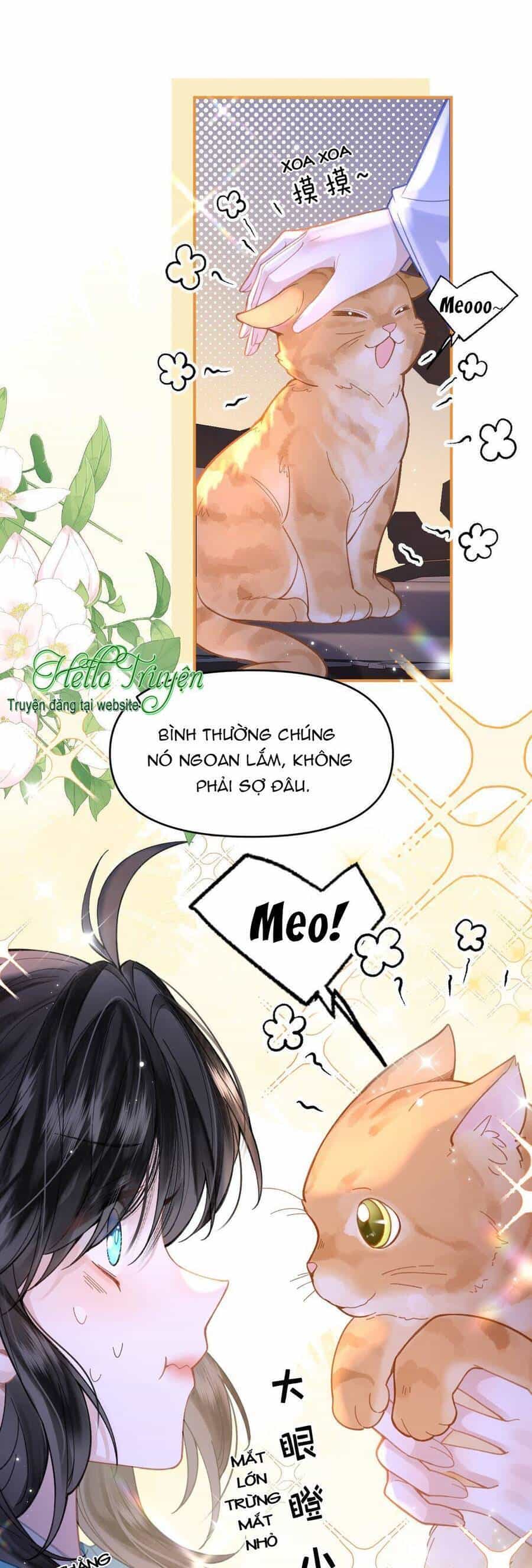 Đến Đông Hải Tìm Mỹ Nhân - Chương 17 - ảnh 18