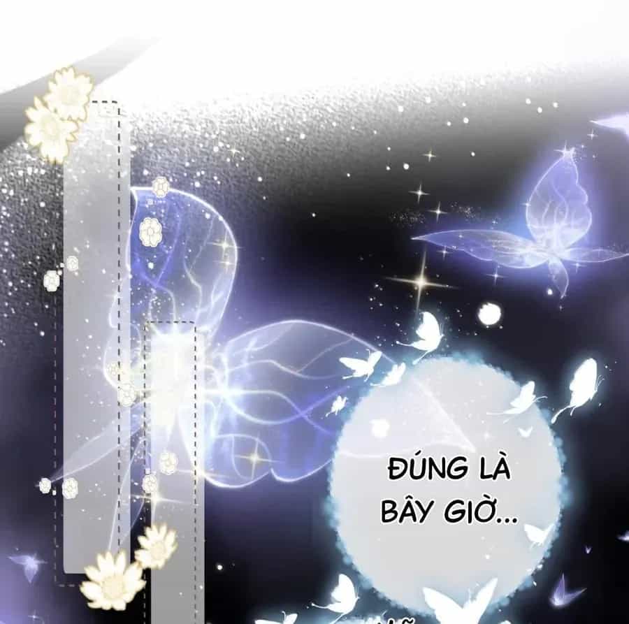 Đến Đông Hải Tìm Mỹ Nhân - Chương 34 - ảnh 17