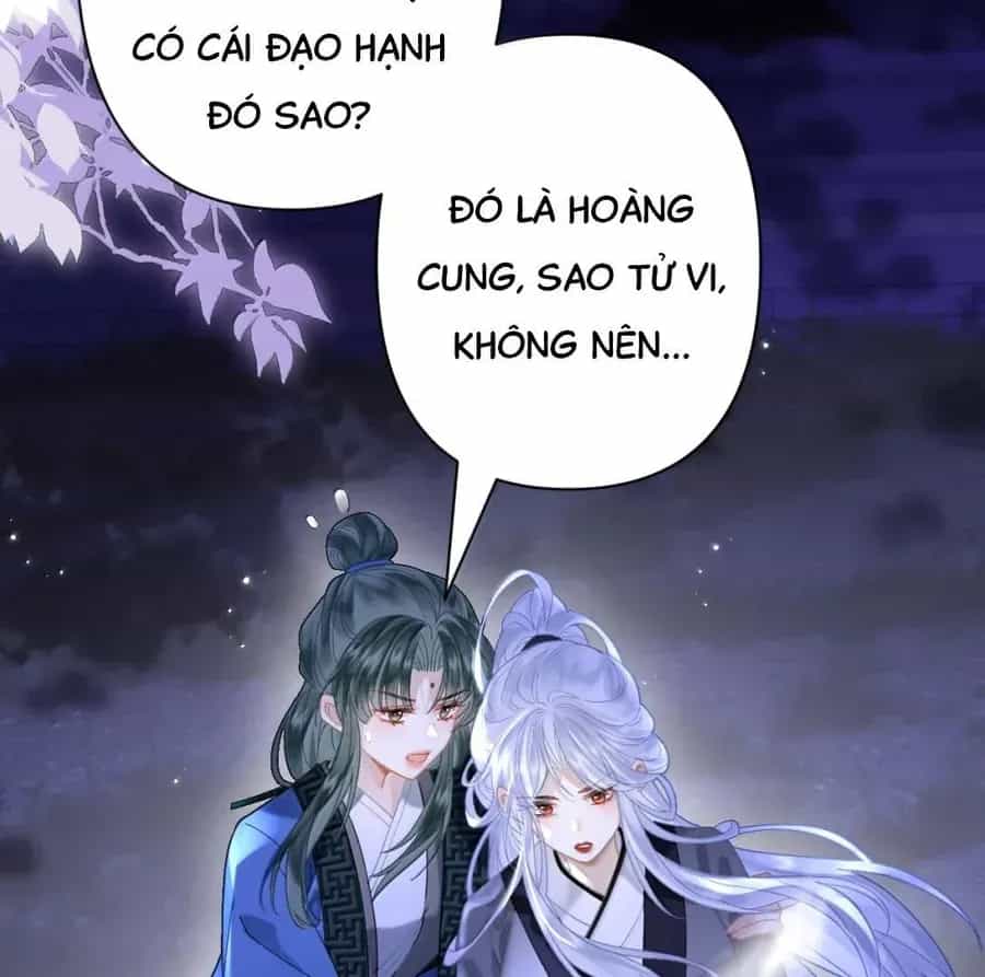 Đến Đông Hải Tìm Mỹ Nhân - Chương 34 - ảnh 59