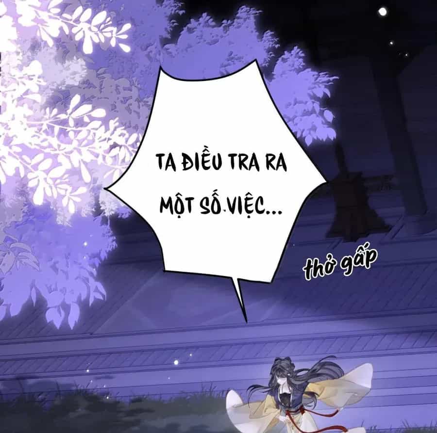 Đến Đông Hải Tìm Mỹ Nhân - Chương 34 - ảnh 71
