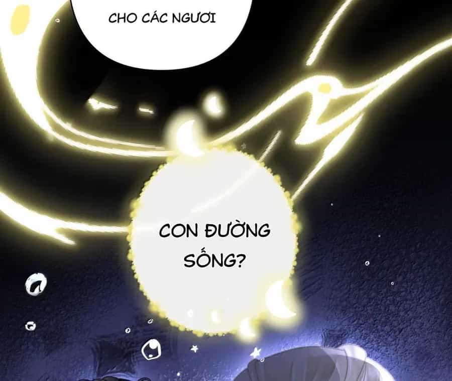 Đến Đông Hải Tìm Mỹ Nhân - Chương 35 - ảnh 32