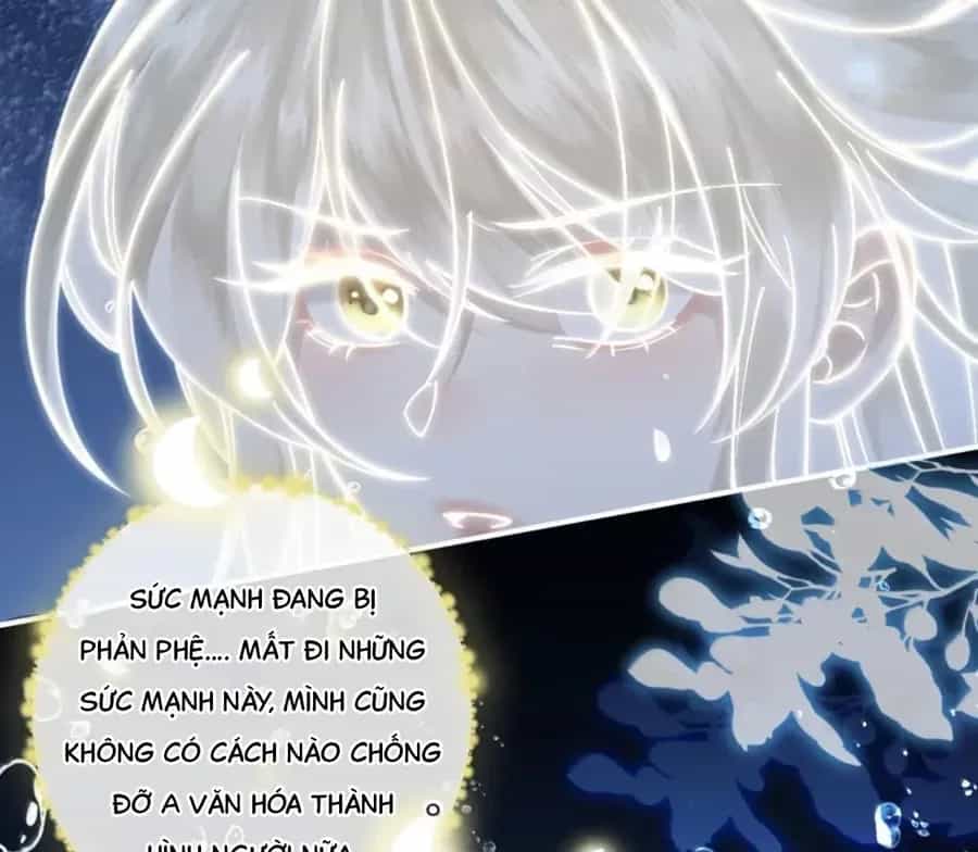Đến Đông Hải Tìm Mỹ Nhân - Chương 38 - ảnh 14