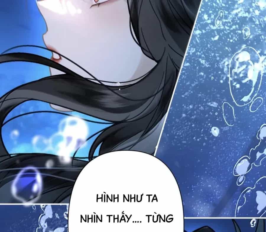 Đến Đông Hải Tìm Mỹ Nhân - Chương 38 - ảnh 80