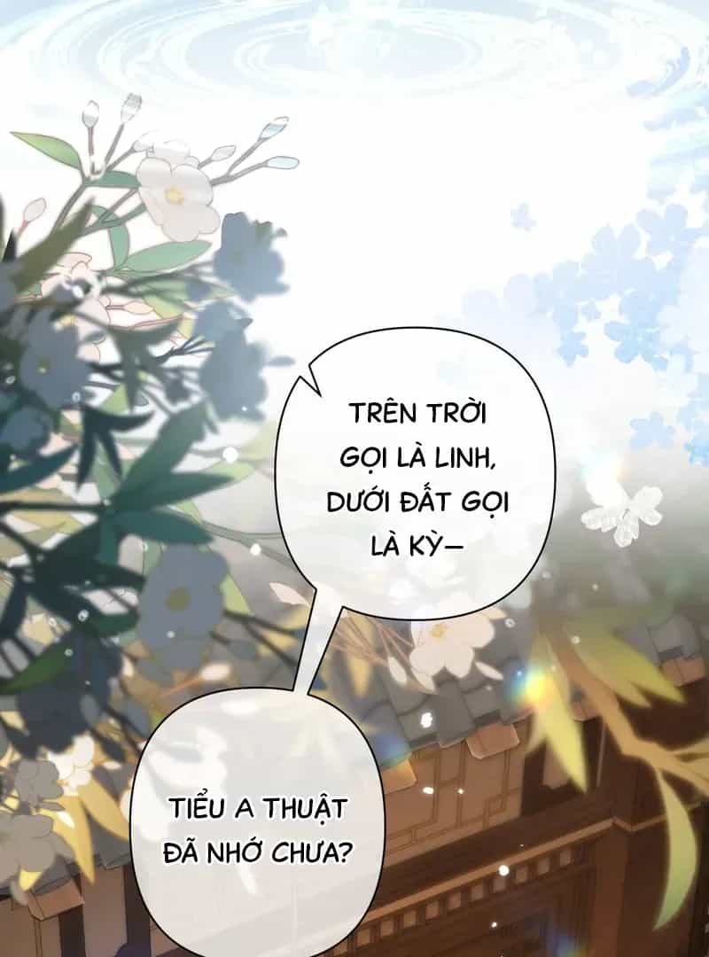 Đến Đông Hải Tìm Mỹ Nhân - Chương 39 - ảnh 43