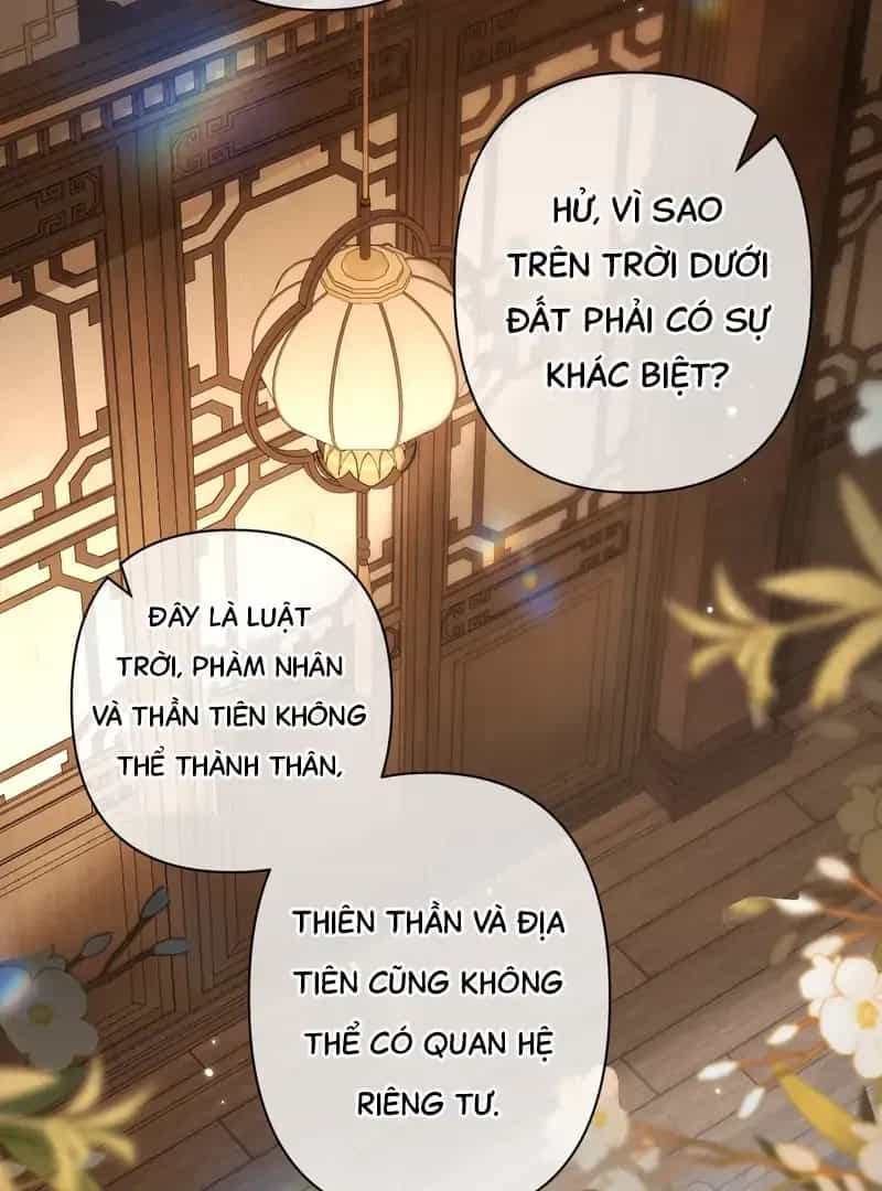 Đến Đông Hải Tìm Mỹ Nhân - Chương 39 - ảnh 44