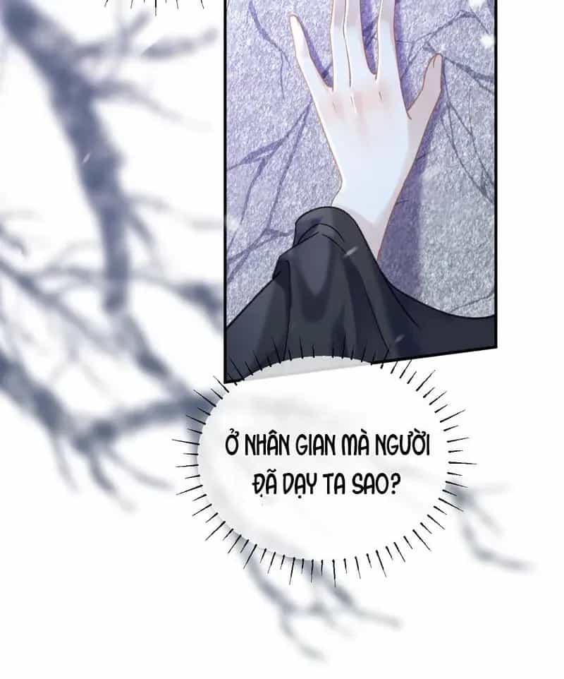 Đến Đông Hải Tìm Mỹ Nhân - Chương 40 - ảnh 52