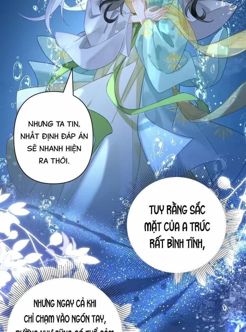 Đến Đông Hải Tìm Mỹ Nhân - Chương 41 - ảnh 23