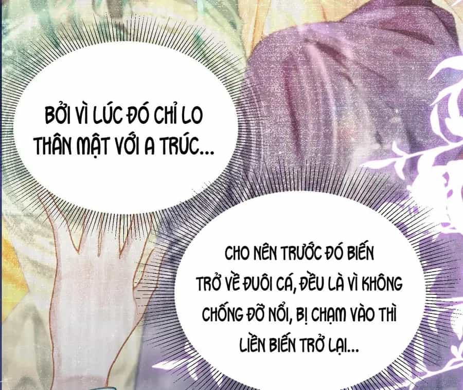 Đến Đông Hải Tìm Mỹ Nhân - Chương 42 - ảnh 4
