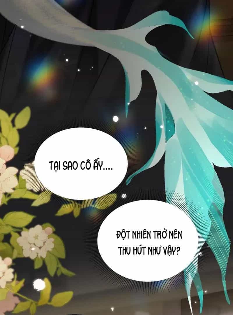 Đến Đông Hải Tìm Mỹ Nhân - Chương 43 - ảnh 8