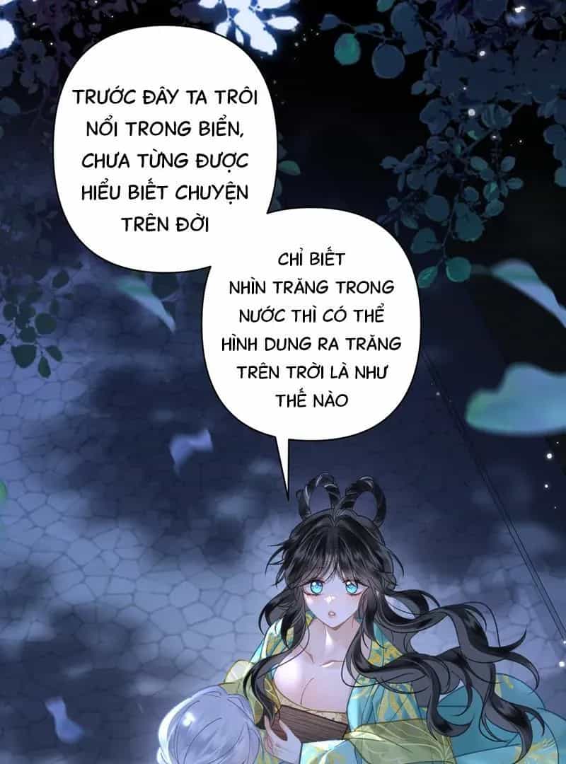 Đến Đông Hải Tìm Mỹ Nhân - Chương 45 - ảnh 31