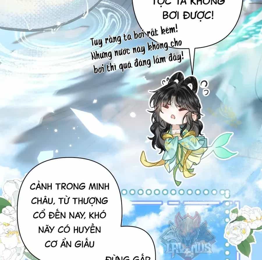 Đến Đông Hải Tìm Mỹ Nhân - Chương 51 - ảnh 70