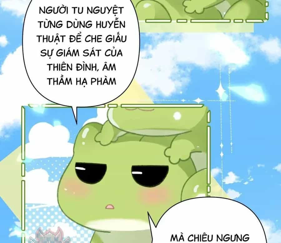 Đến Đông Hải Tìm Mỹ Nhân - Chương 51 - ảnh 83