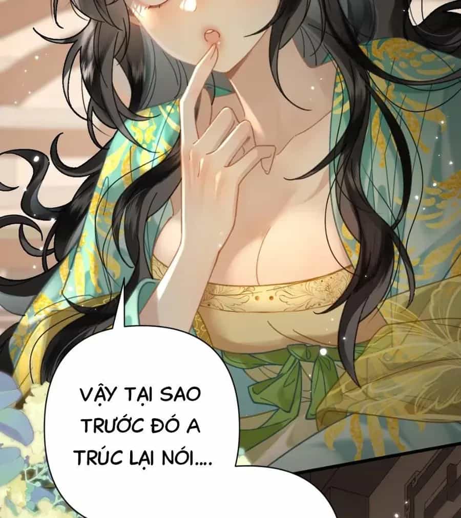Đến Đông Hải Tìm Mỹ Nhân - Chương 52 - ảnh 57
