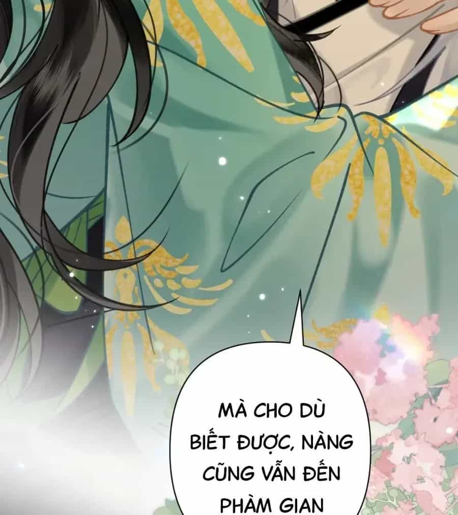 Đến Đông Hải Tìm Mỹ Nhân - Chương 52 - ảnh 67