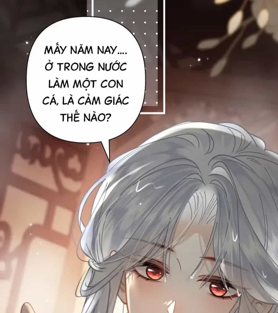 Đến Đông Hải Tìm Mỹ Nhân - Chương 53 - ảnh 44