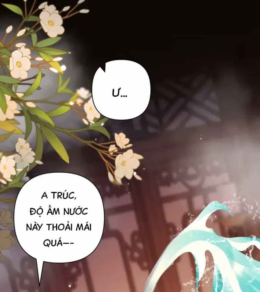 Đến Đông Hải Tìm Mỹ Nhân - Chương 53 - ảnh 67