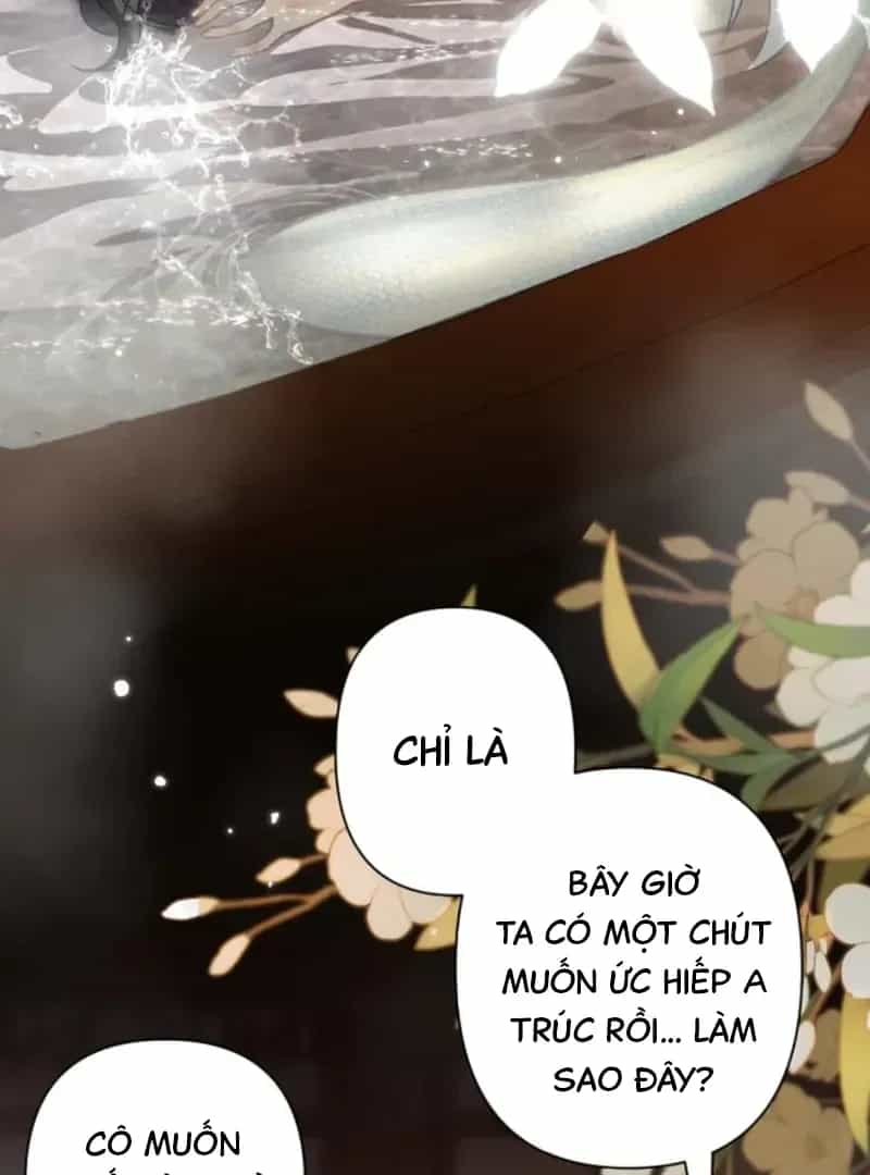 Đến Đông Hải Tìm Mỹ Nhân - Chương 54 - ảnh 52