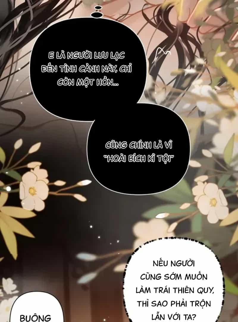 Đến Đông Hải Tìm Mỹ Nhân - Chương 54 - ảnh 8