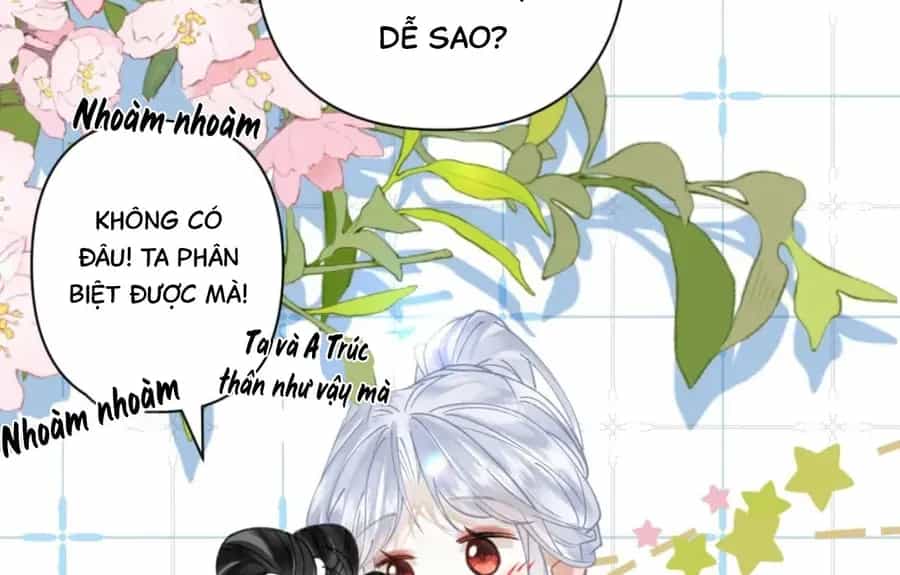 Đến Đông Hải Tìm Mỹ Nhân - Chương 55 - ảnh 23