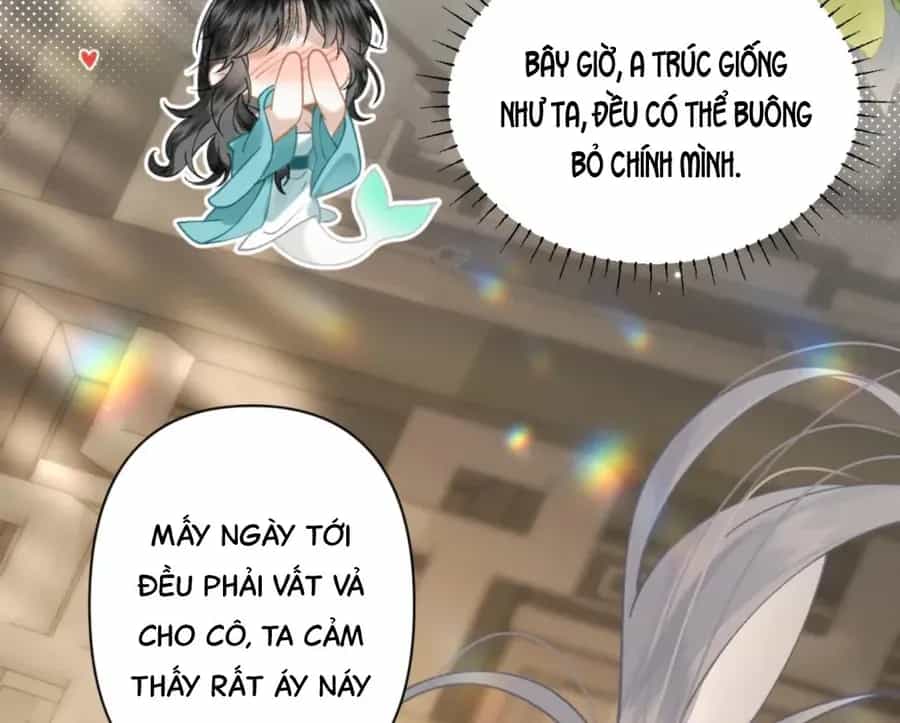 Đến Đông Hải Tìm Mỹ Nhân - Chương 55 - ảnh 53