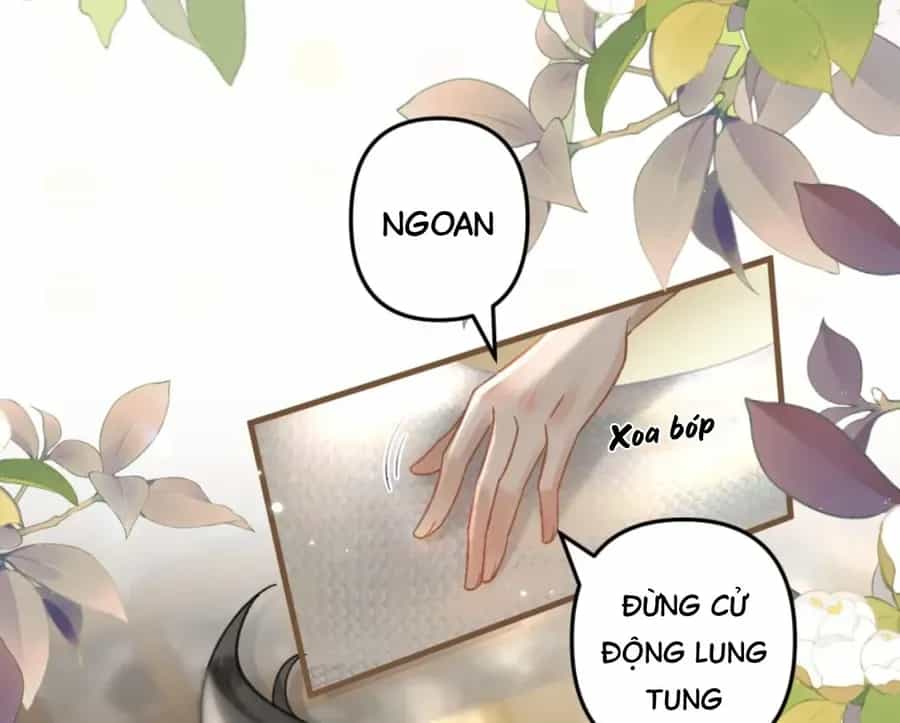 Đến Đông Hải Tìm Mỹ Nhân - Chương 55 - ảnh 85
