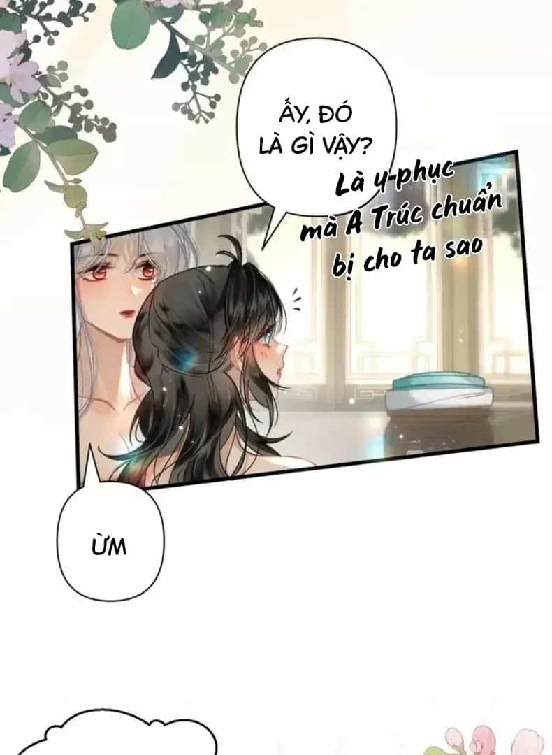 Đến Đông Hải Tìm Mỹ Nhân - Chương 56 - ảnh 16