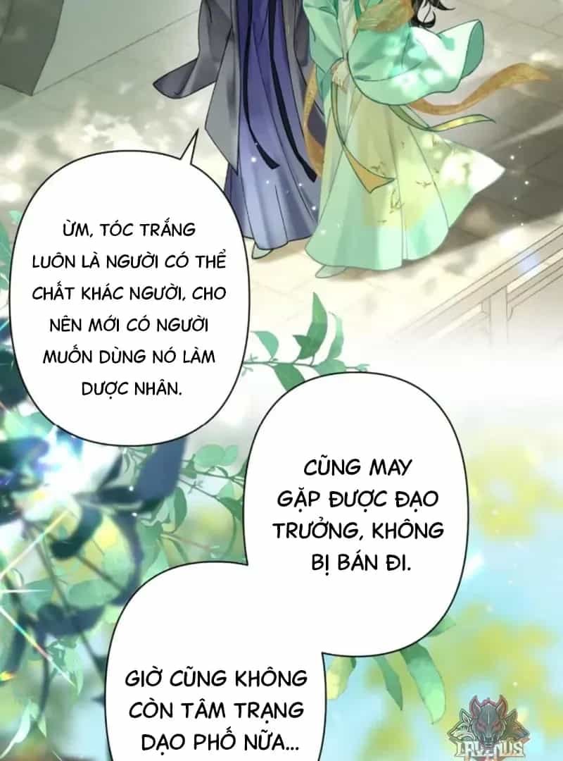 Đến Đông Hải Tìm Mỹ Nhân - Chương 57 - ảnh 59