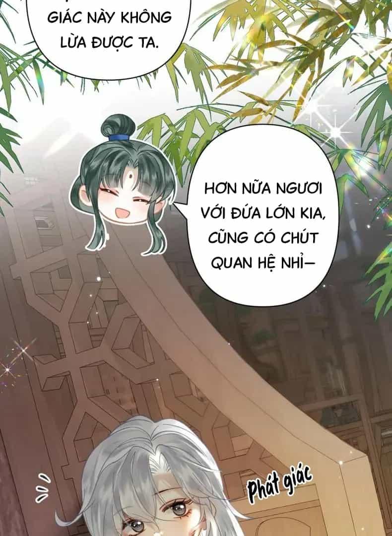 Đến Đông Hải Tìm Mỹ Nhân - Chương 59 - ảnh 67