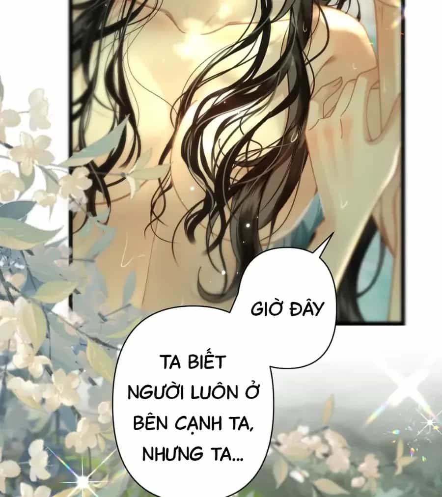 Đến Đông Hải Tìm Mỹ Nhân - Chương 60 - ảnh 21