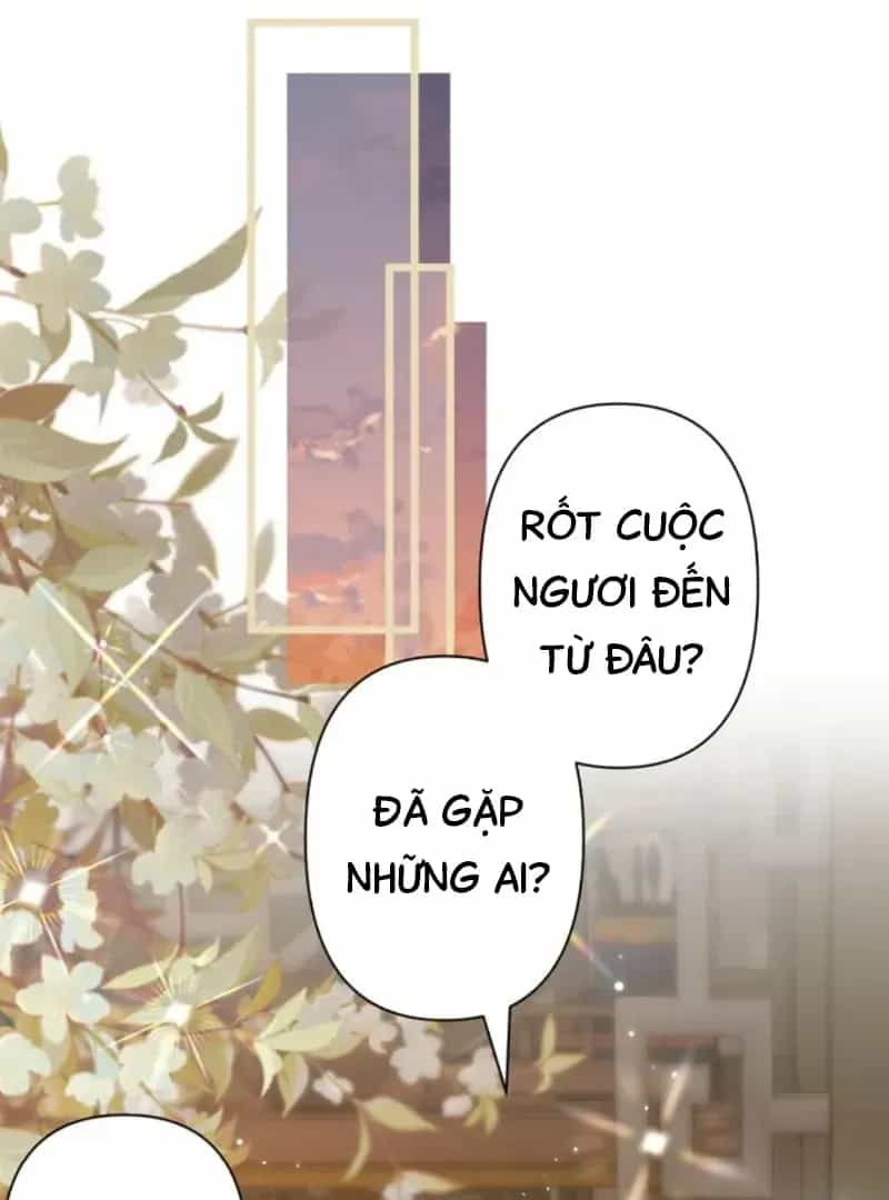 Đến Đông Hải Tìm Mỹ Nhân - Chương 61 - ảnh 33