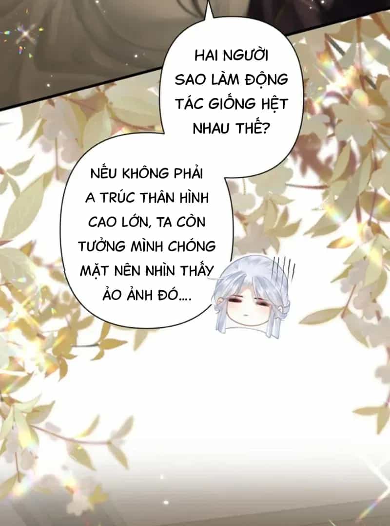 Đến Đông Hải Tìm Mỹ Nhân - Chương 61 - ảnh 64