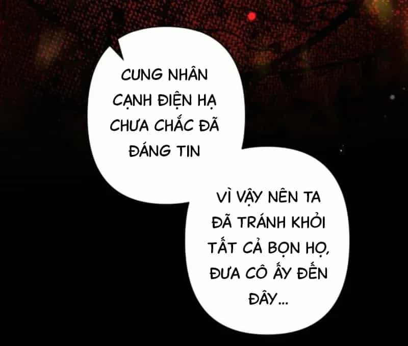 Đến Đông Hải Tìm Mỹ Nhân - Chương 62 - ảnh 16