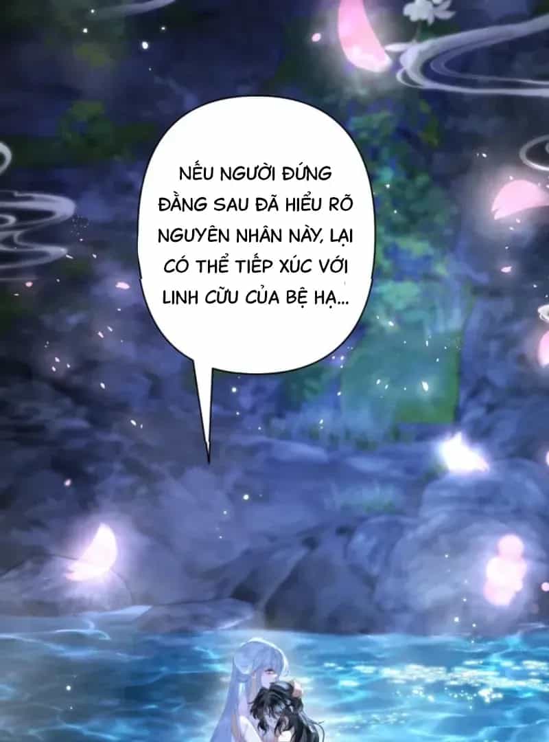 Đến Đông Hải Tìm Mỹ Nhân - Chương 62 - ảnh 71