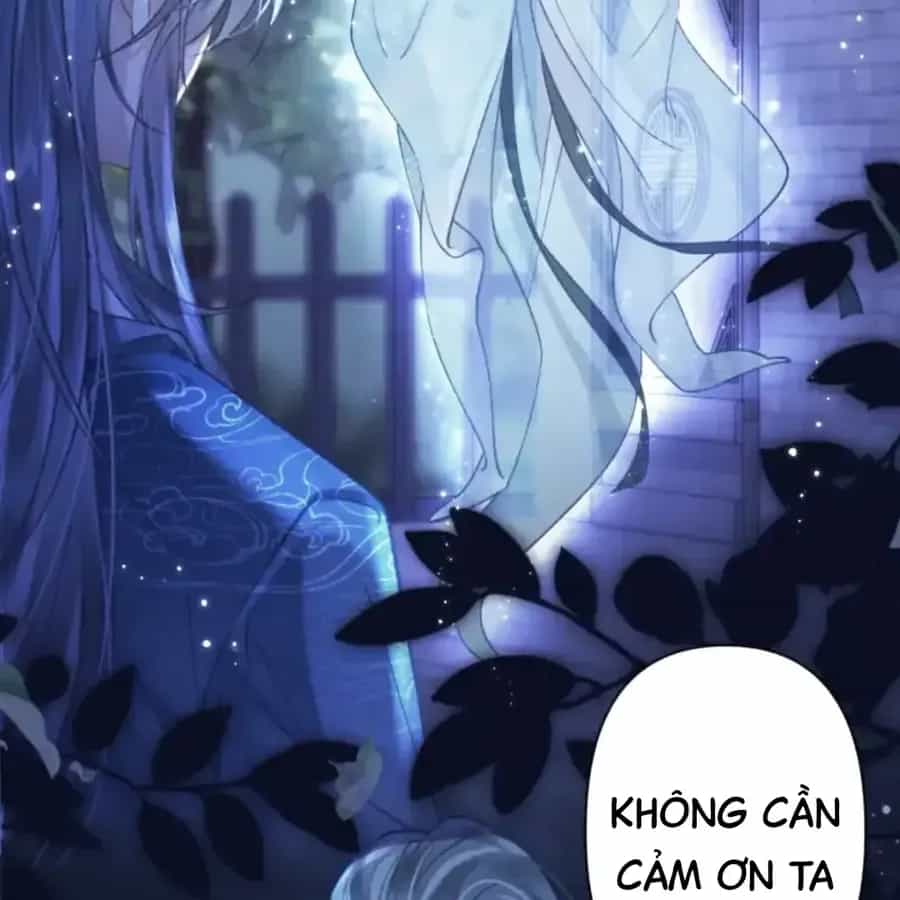 Đến Đông Hải Tìm Mỹ Nhân - Chương 63 - ảnh 10