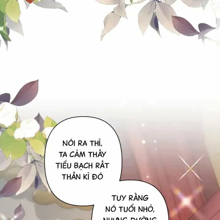 Đến Đông Hải Tìm Mỹ Nhân - Chương 63 - ảnh 45
