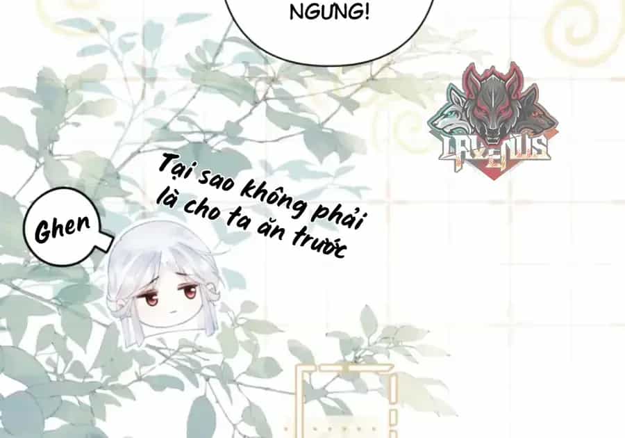 Đến Đông Hải Tìm Mỹ Nhân - Chương 63 - ảnh 70