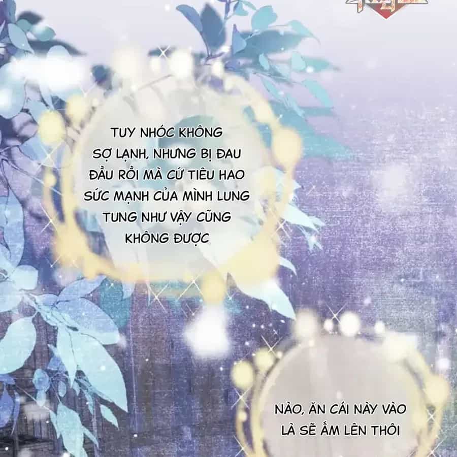 Đến Đông Hải Tìm Mỹ Nhân - Chương 63 - ảnh 76